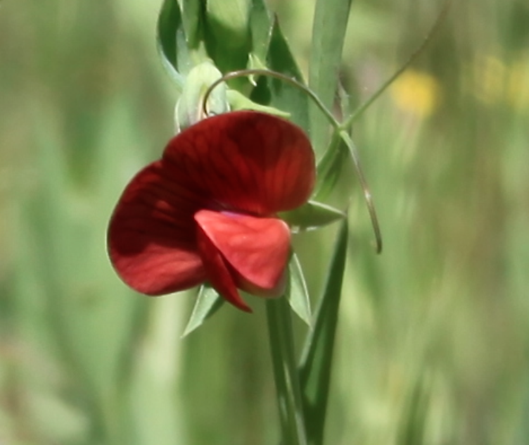 Annexe Capture d’écran 2018-04-20 à 18.39.48.png