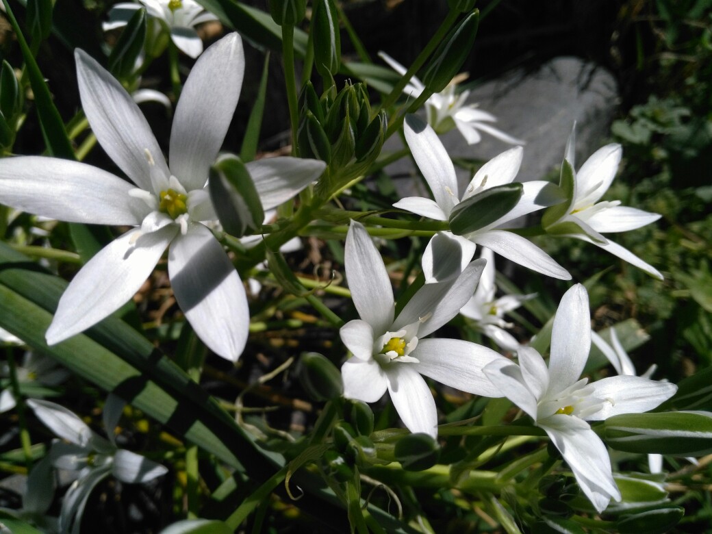 Annexe IMG_20180401_130031.jpgor.jpg