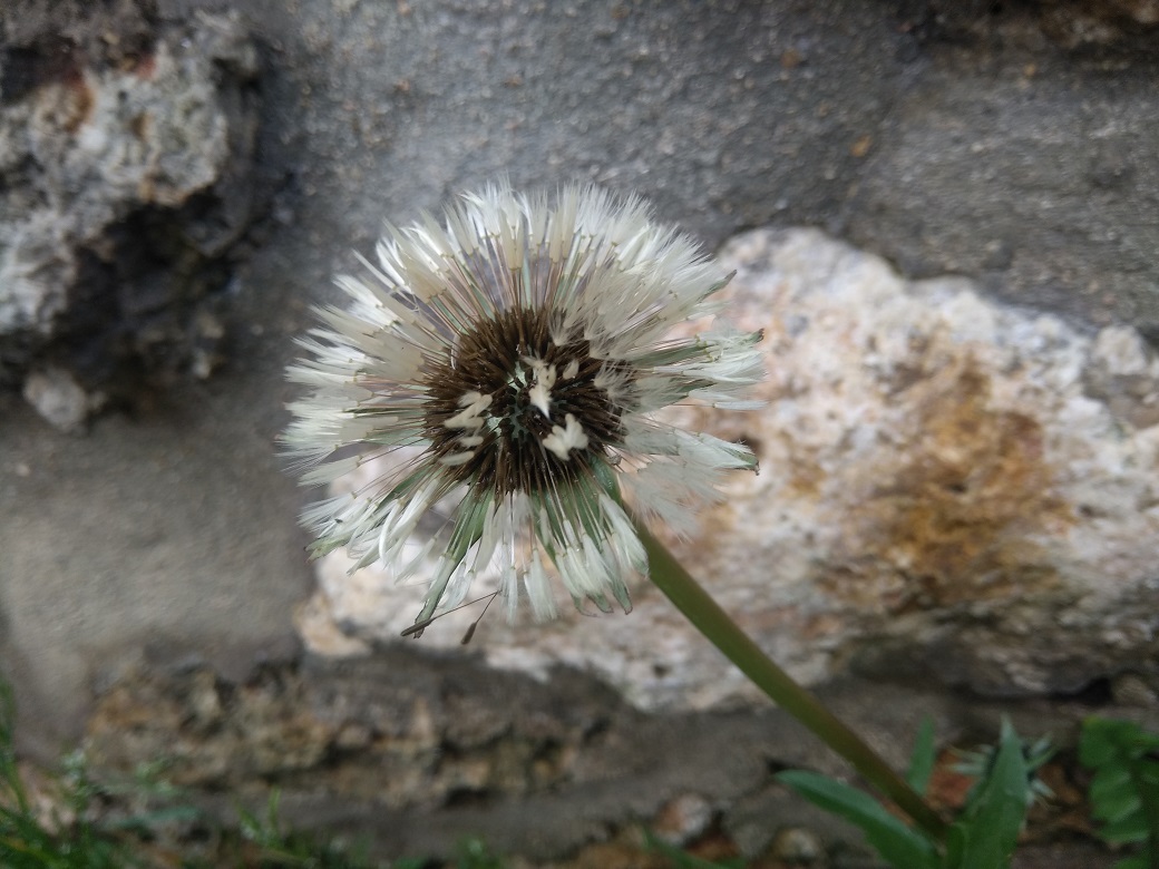 Annexe IMG_20180413_104517.jpg