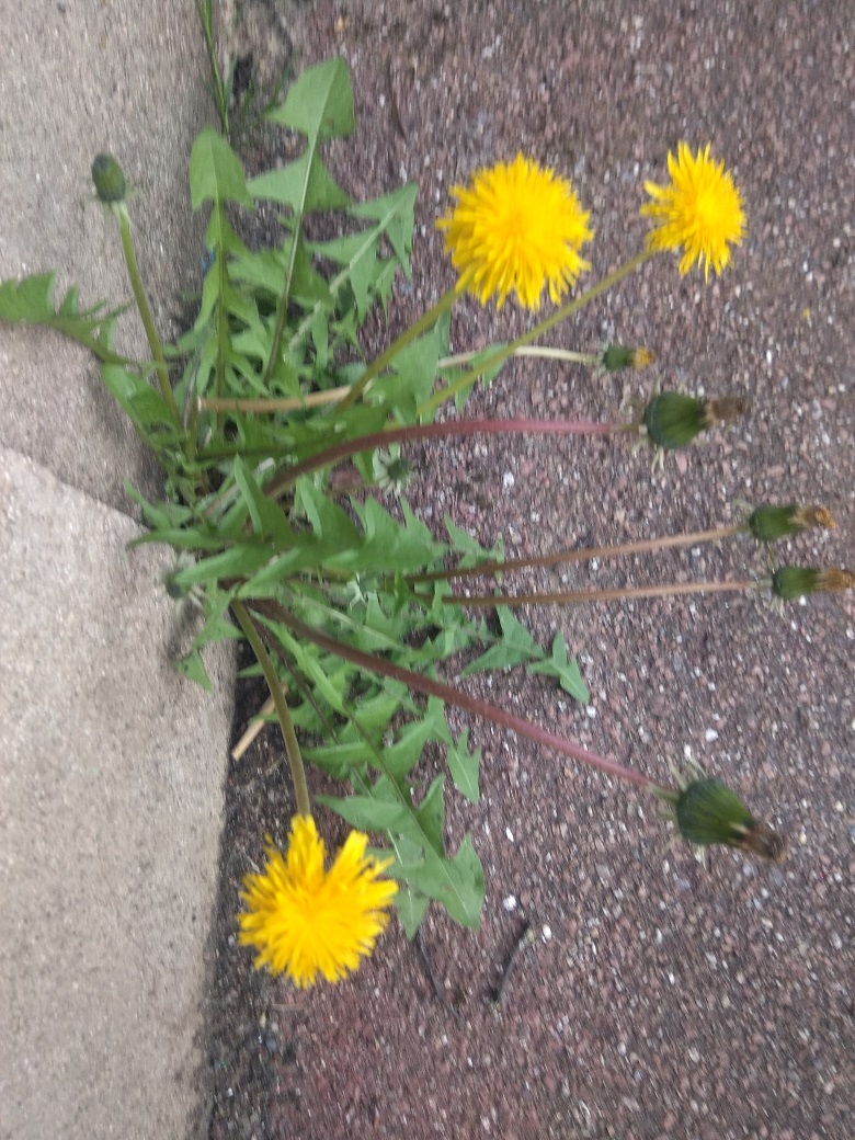 Annexe IMG_20180413_190902.jpg