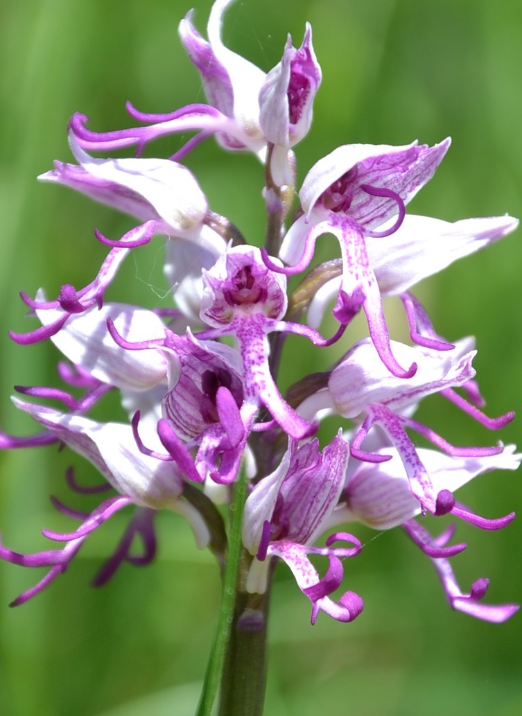 Annexe DSC_0569b.jpg