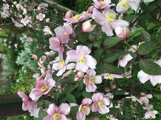 Annexe IMG_0153-ConvertImage-ConvertImage.jpg