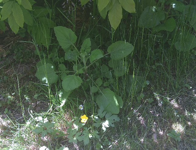 Annexe Capture du 2018-05-07 13-06-57.png