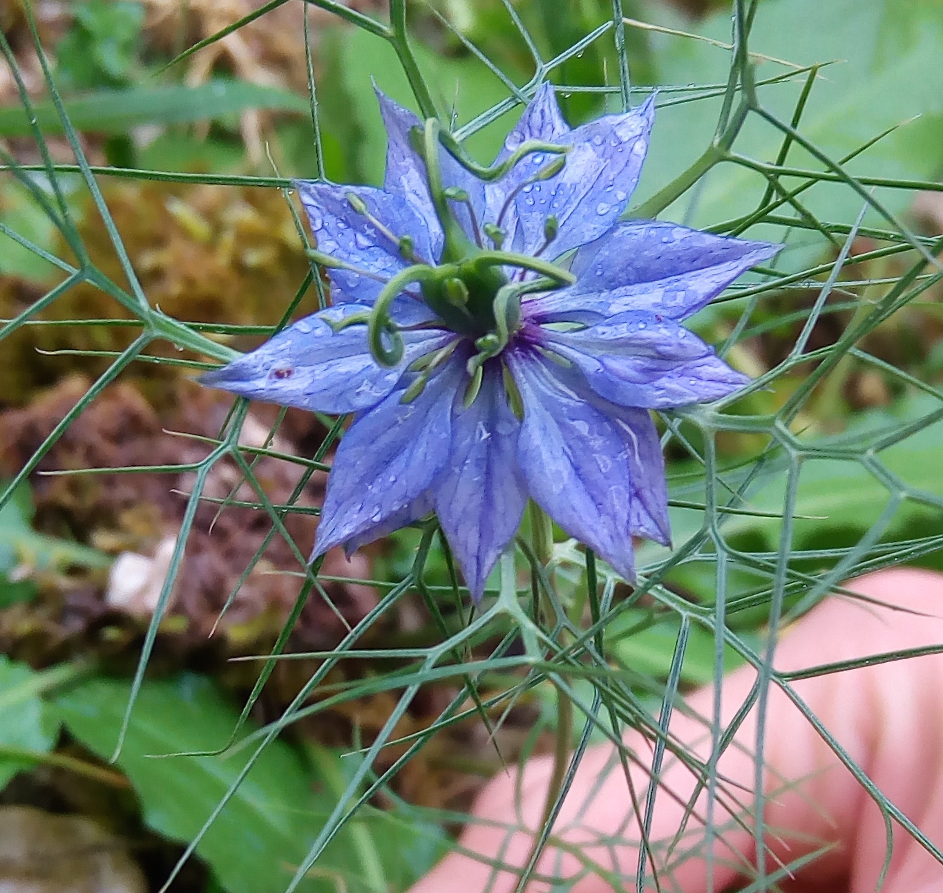 Annexe P_20180507_191928.jpg