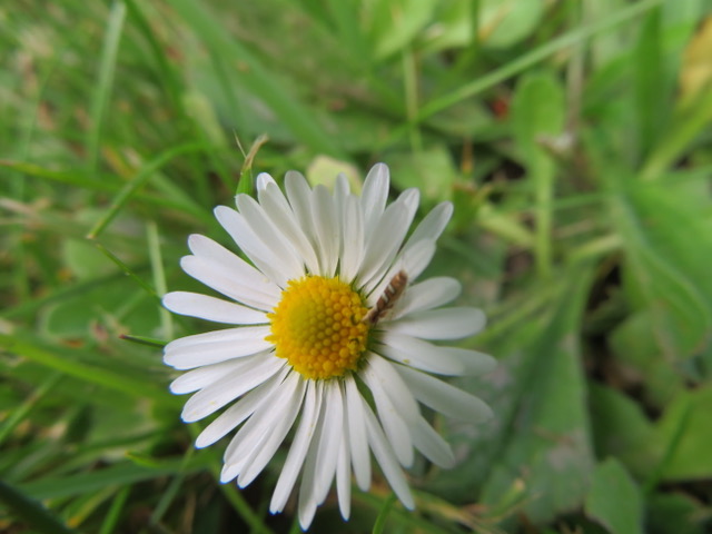 Annexe IMG_6901.jpeg