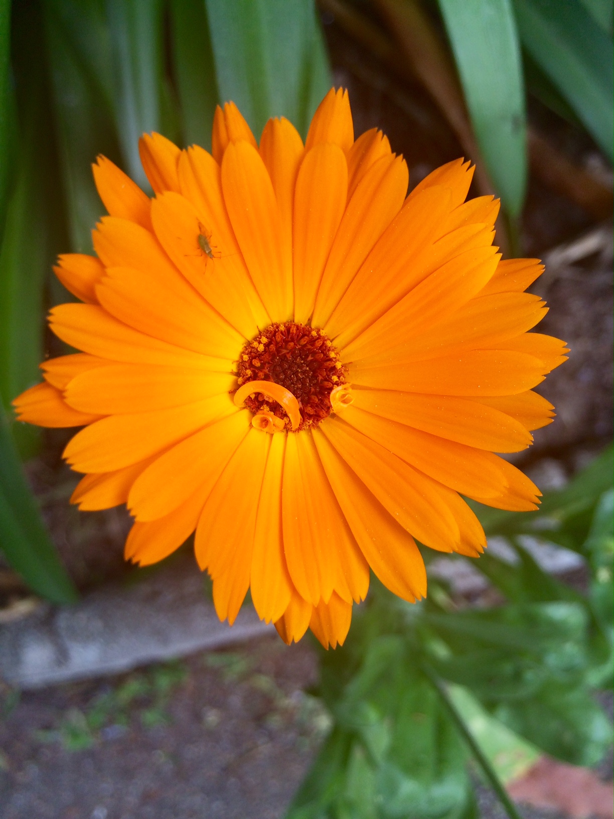 Annexe FullSizeRender-2.jpg