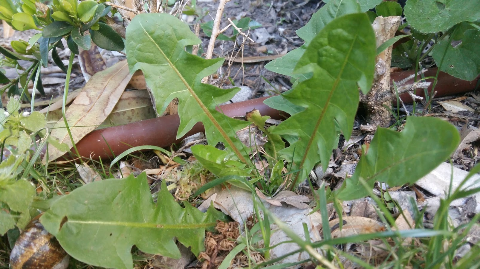 Annexe gESl79V-ZrhNAvNLuYuQvs8Q5YACY74f45AG-jXZMDwsz39SbYUpM1yWFna.jpeg