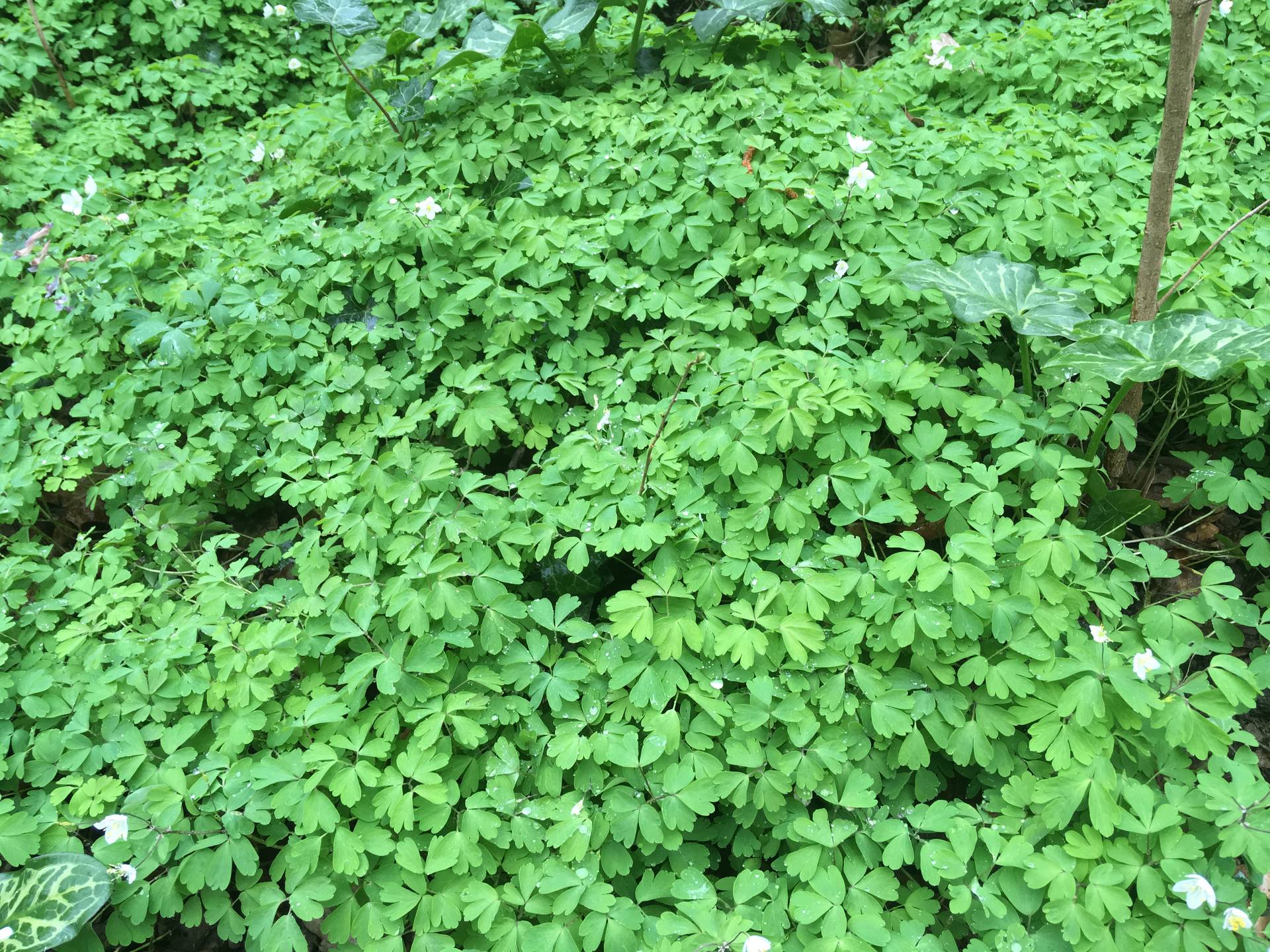 Vue d'ensemble de la station