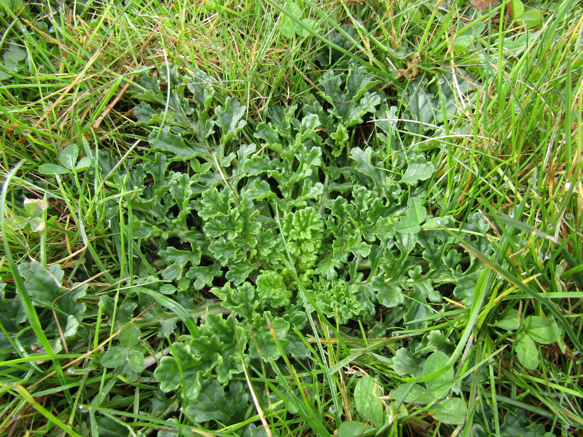 vue d'ensemble de l'inconnue