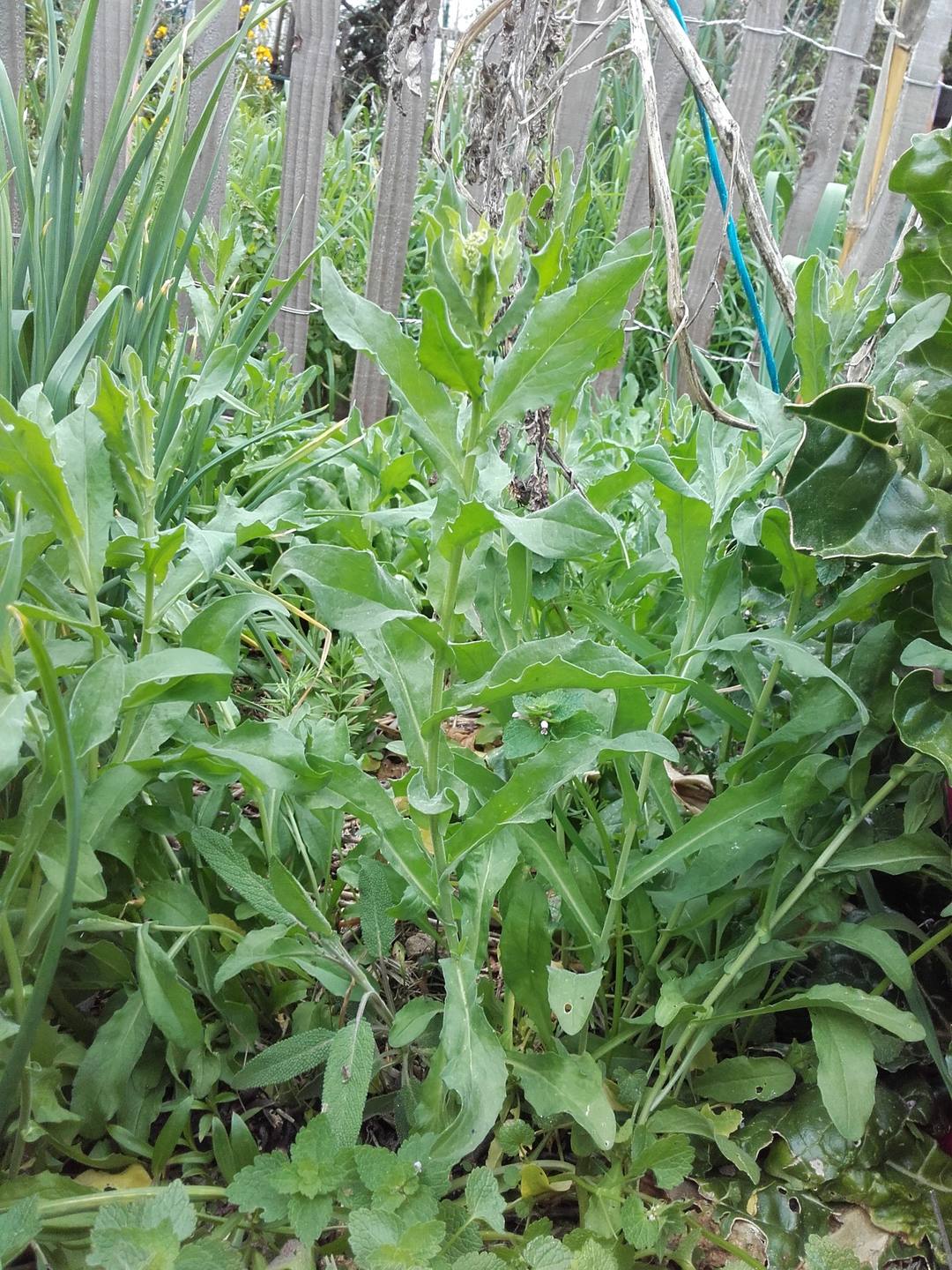 passerage drave vue générale