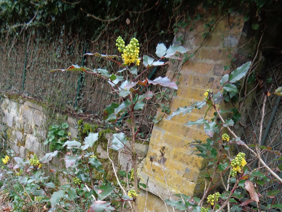 Veuillez patienter...