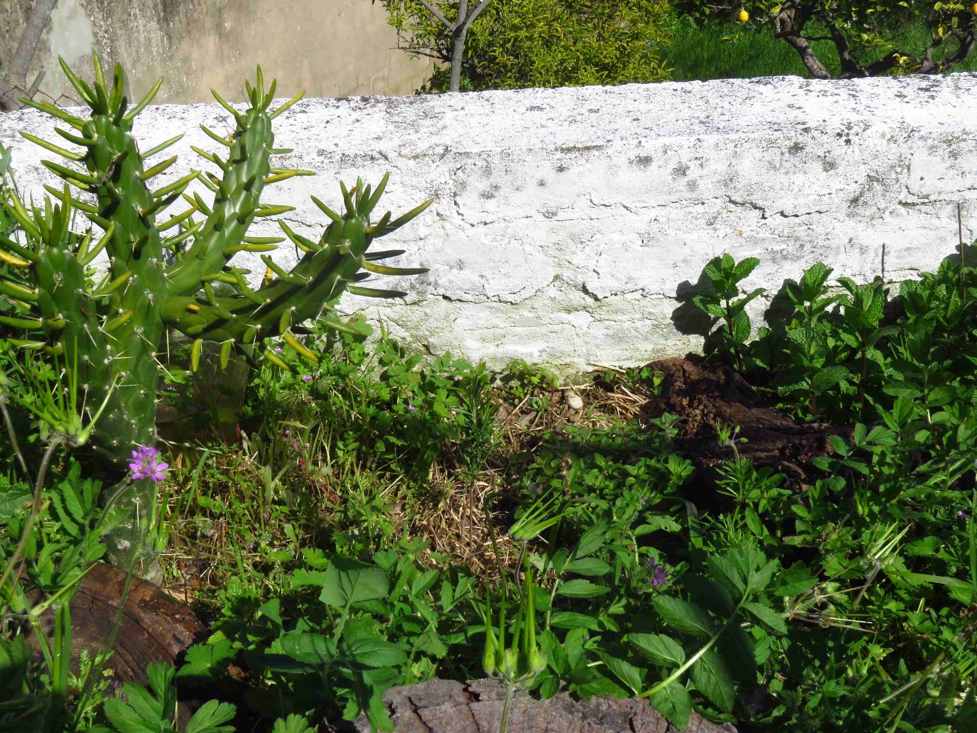 Annexe web_IMG_6840.jpg