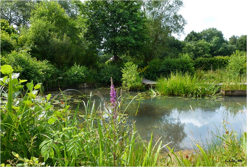 Annexe Lac de bambois Belgique.jpg