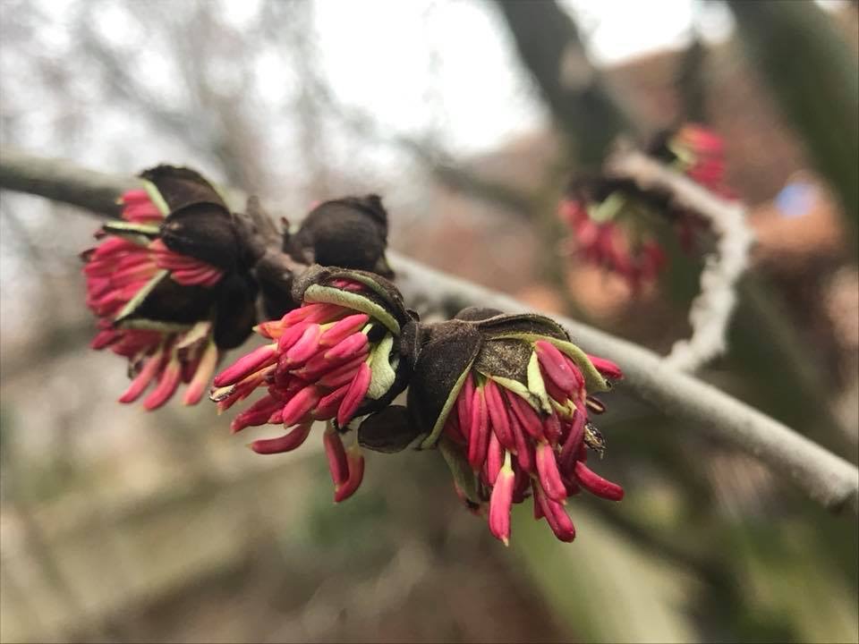 Annexe 5403E157-A479-40C7-BC04-561B1F010B63.jpeg