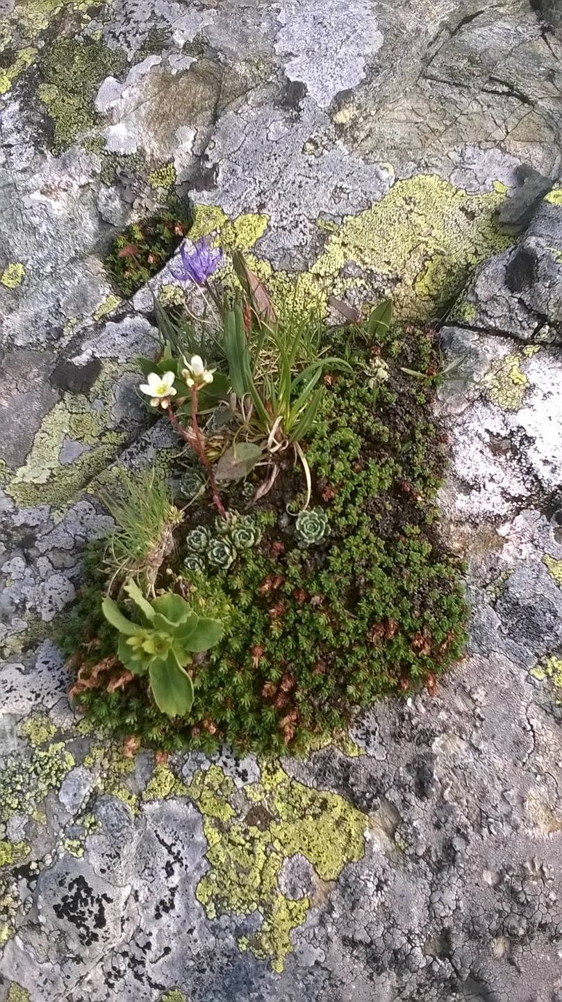 Annexe 22539050_1978010102455754_5818966121537592685_o.jpg