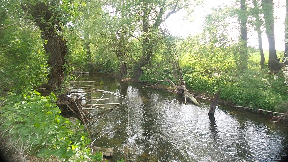 Annexe Les bords de lYerres.jpg