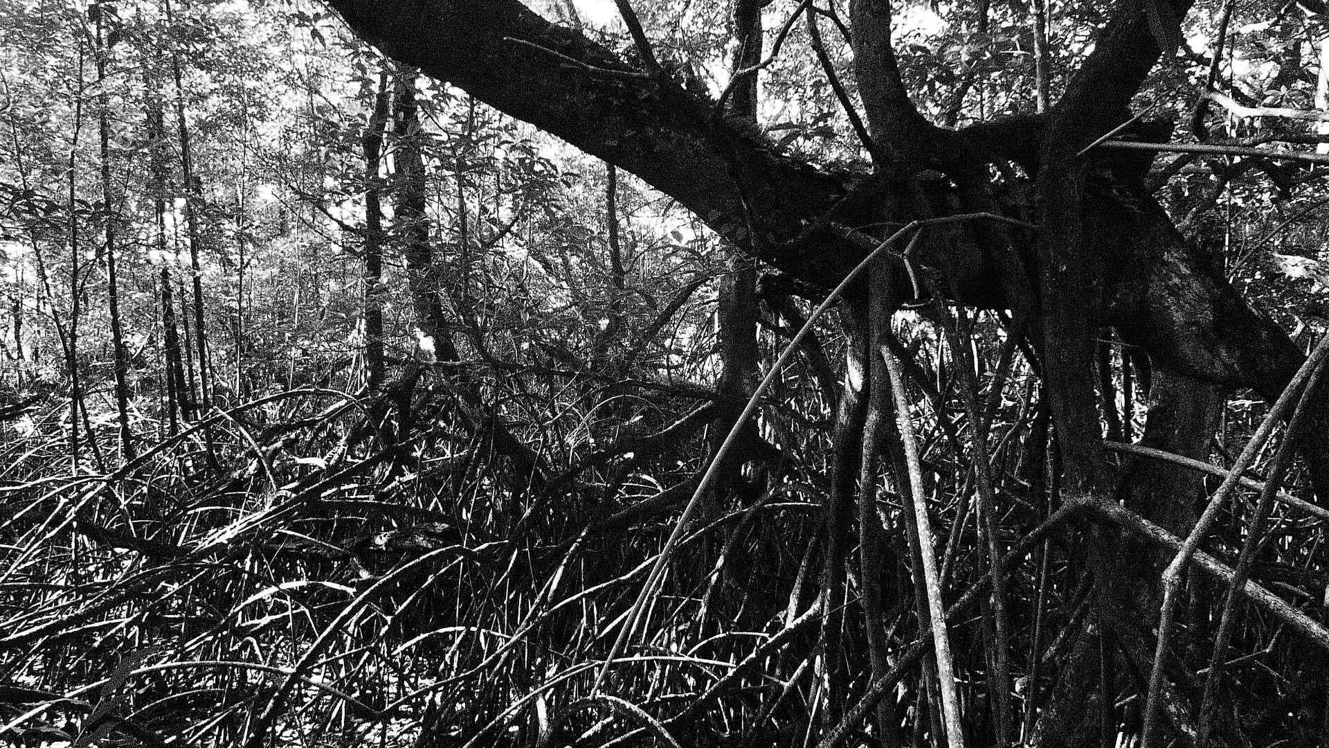 Annexe 279834_10150340328533665_3375719_o.jpg