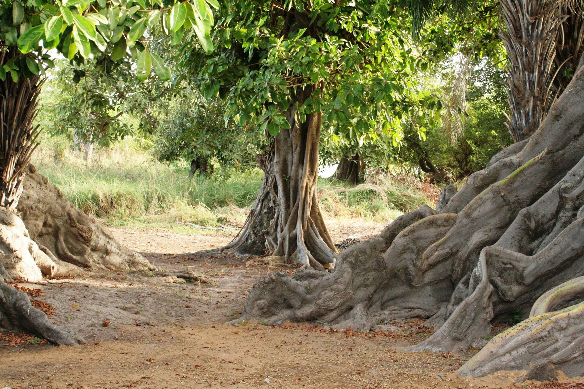 Annexe 285984_10150342810383665_590068_o.jpg