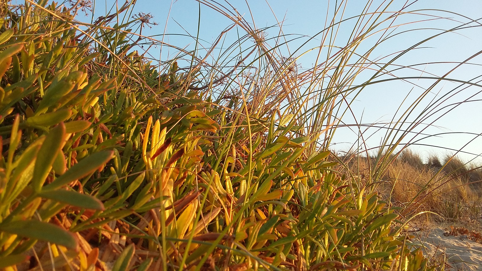 Annexe 20161218_170315.jpg