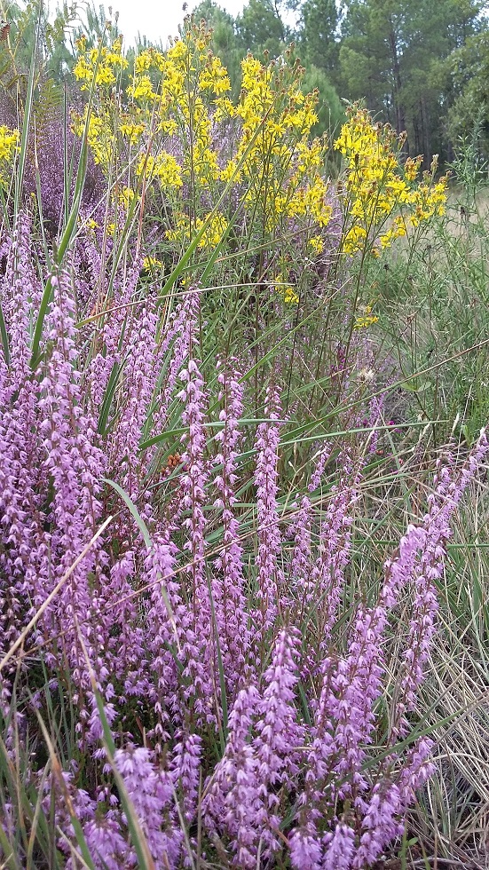 Annexe 20170922_180002.jpg