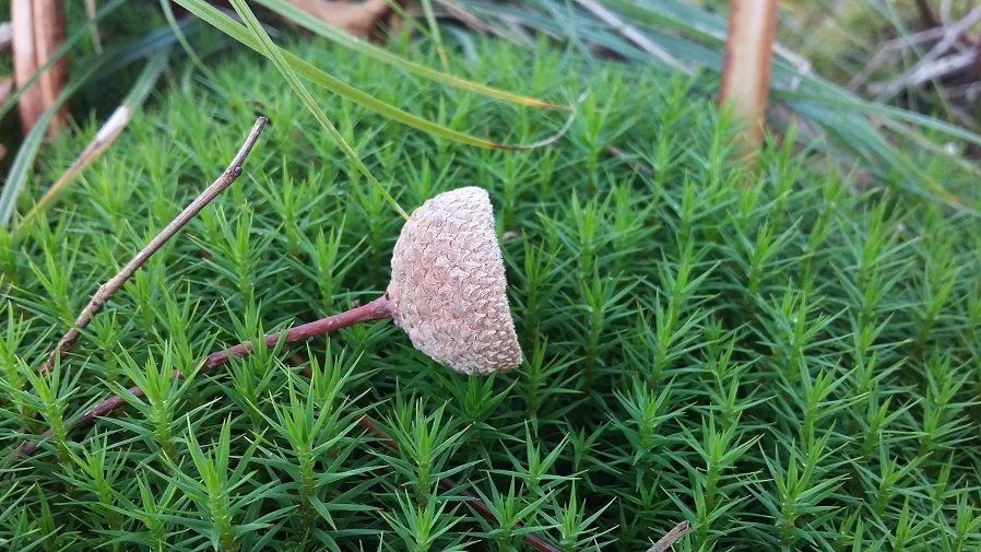 Annexe 20171115_155030.jpg