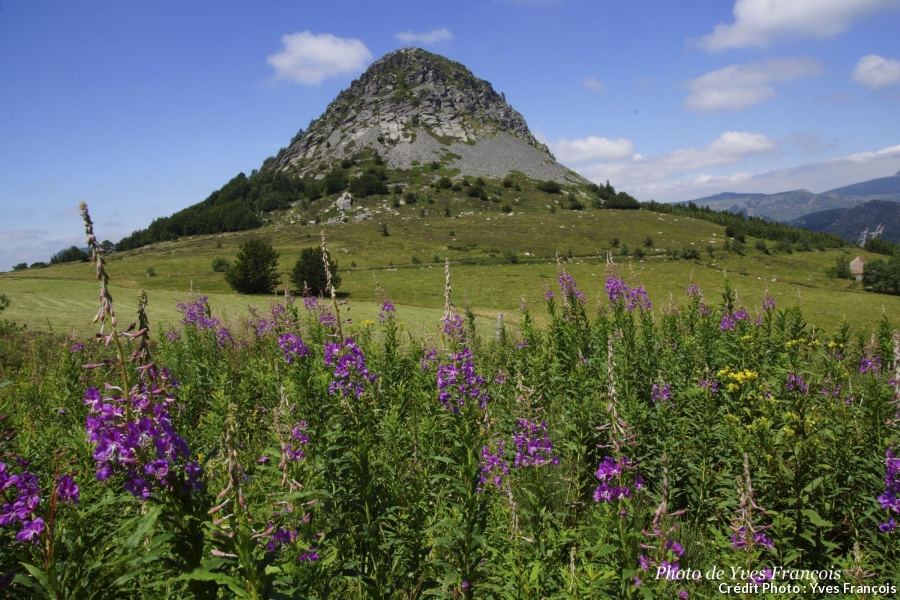 Annexe Mont-Gerbier de Joncs.jpg