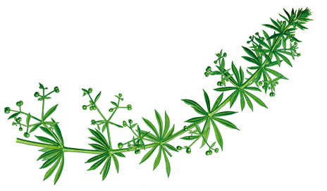 Annexe gailletgratteron.jpg