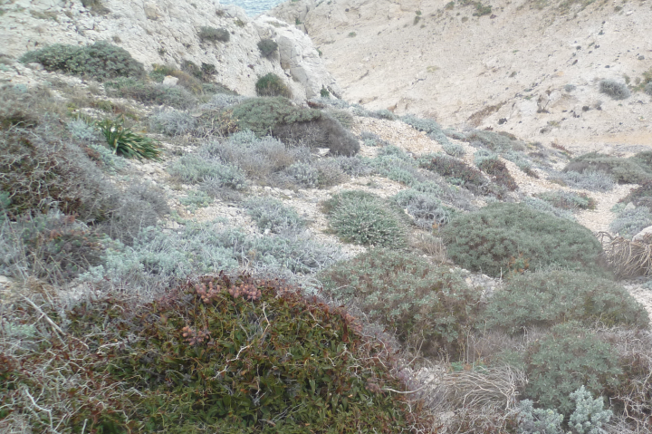 Annexe couleurs astragrales.png