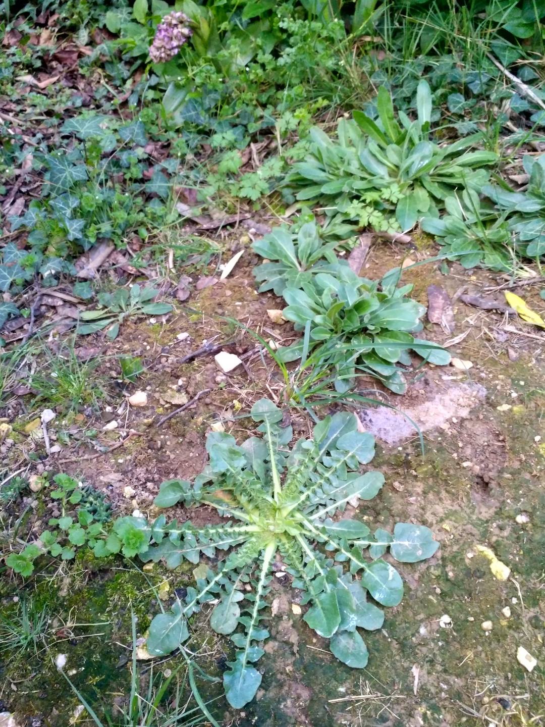 Annexe IMG_20180327_194001_HDR.jpg