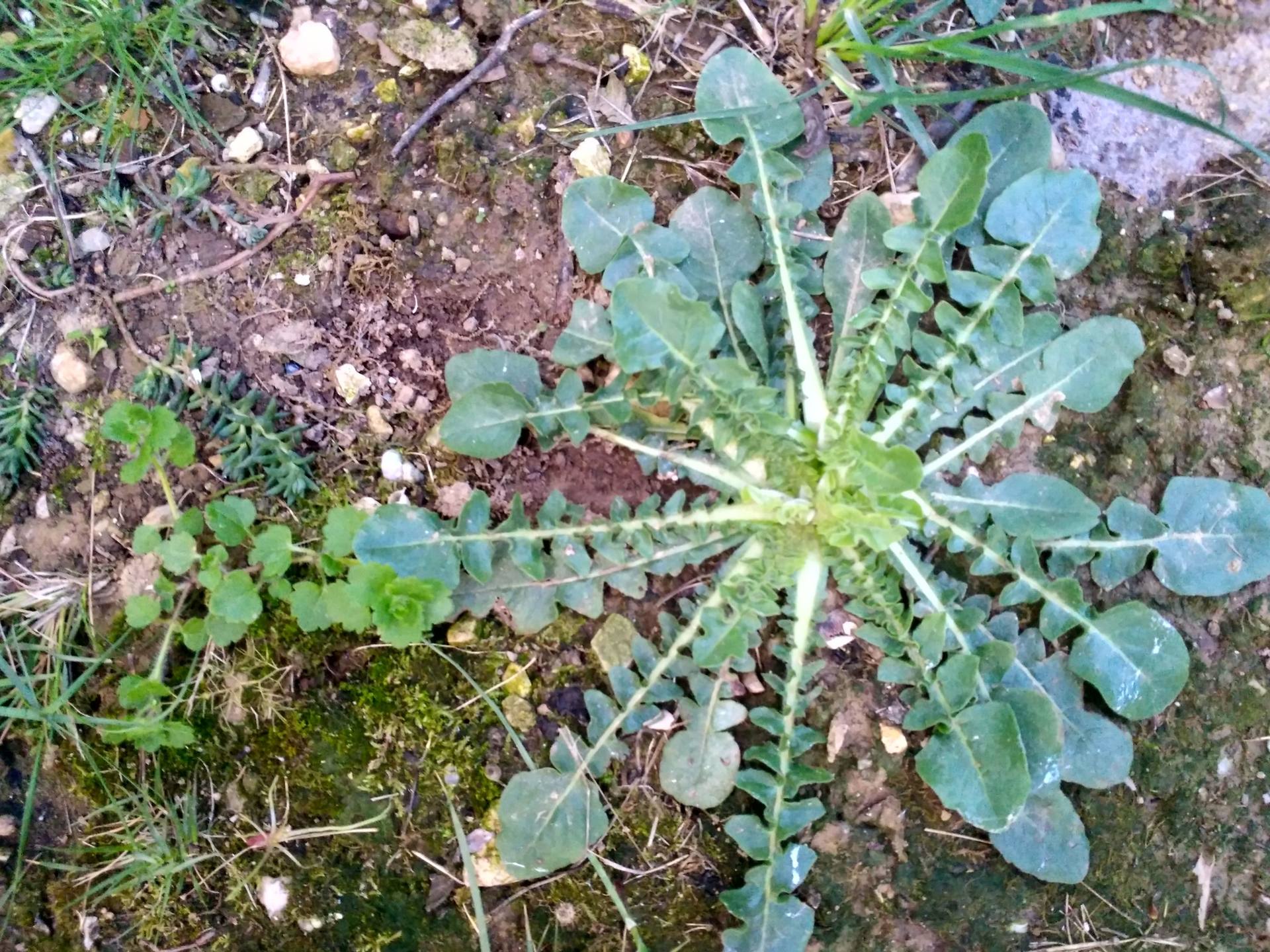 Annexe IMG_20180327_194059_HDR.jpg