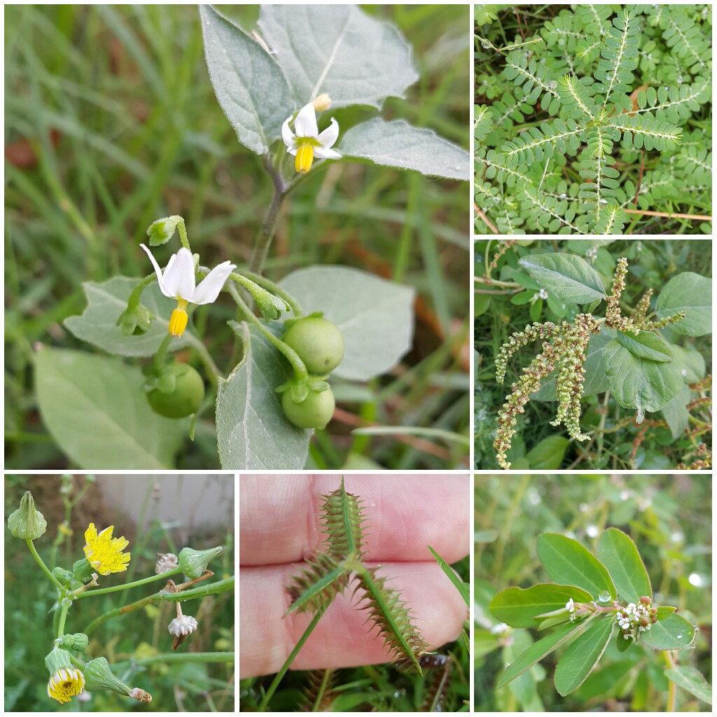 Annexe 6e70a777-bdd9-4613-8944-7145106de828.jpg