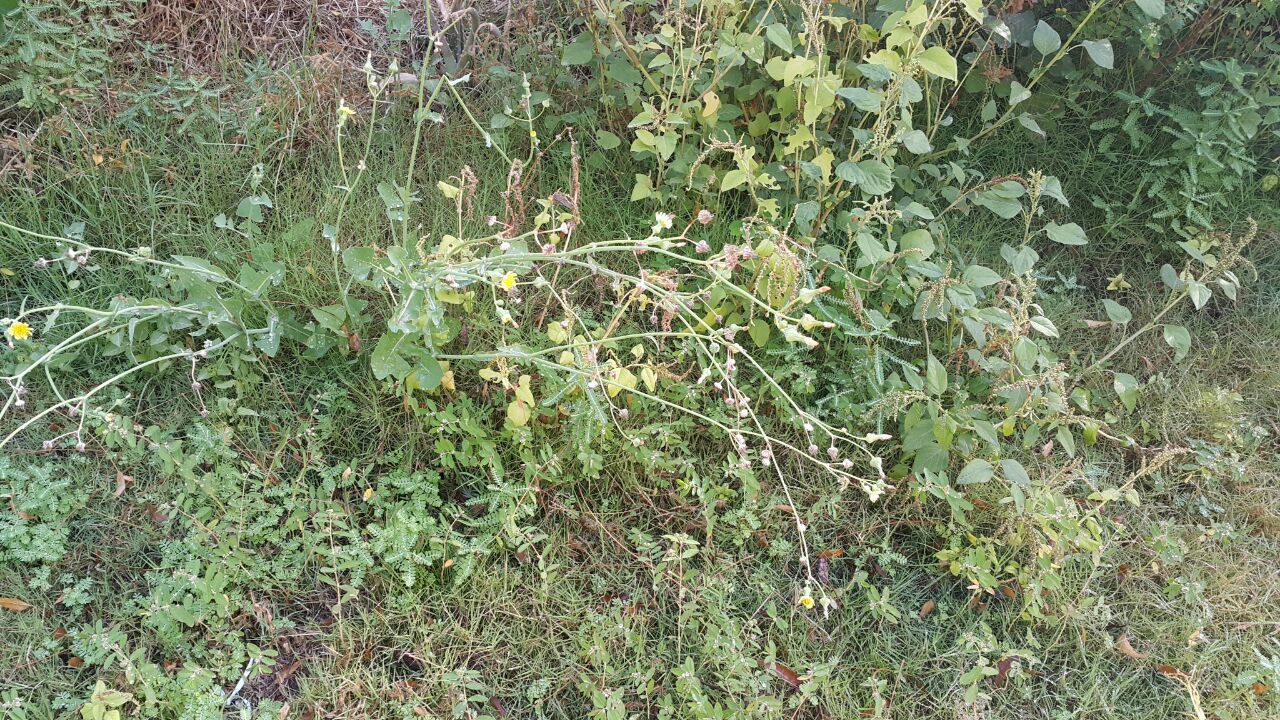 Annexe bac202c5-df52-45ea-940c-aba230cfee37.jpg