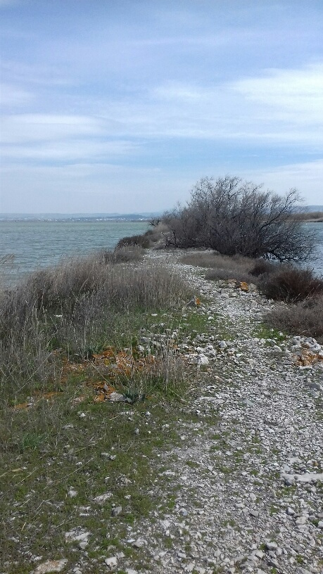 Annexe 20180327_133546_resized.jpg