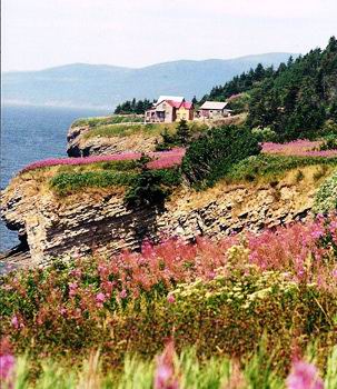 Annexe Forillon_nature2.jpg