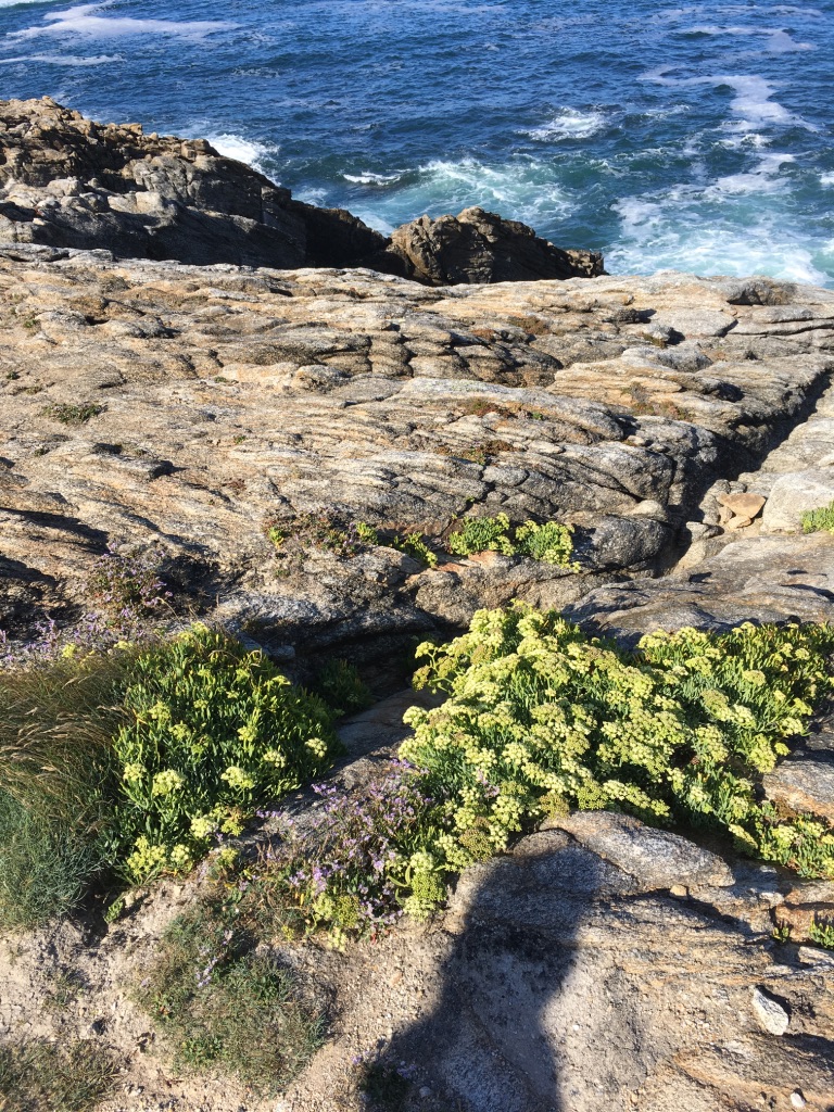 Annexe UNADJUSTEDNONRAW_thumb_c36f.jpg