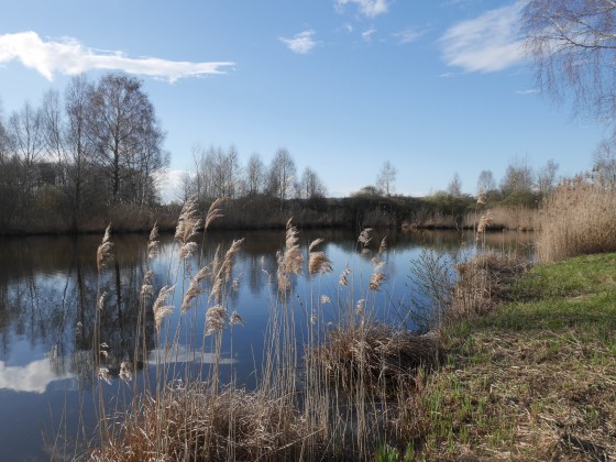 Annexe m-etangs-visorando-32751.jpg