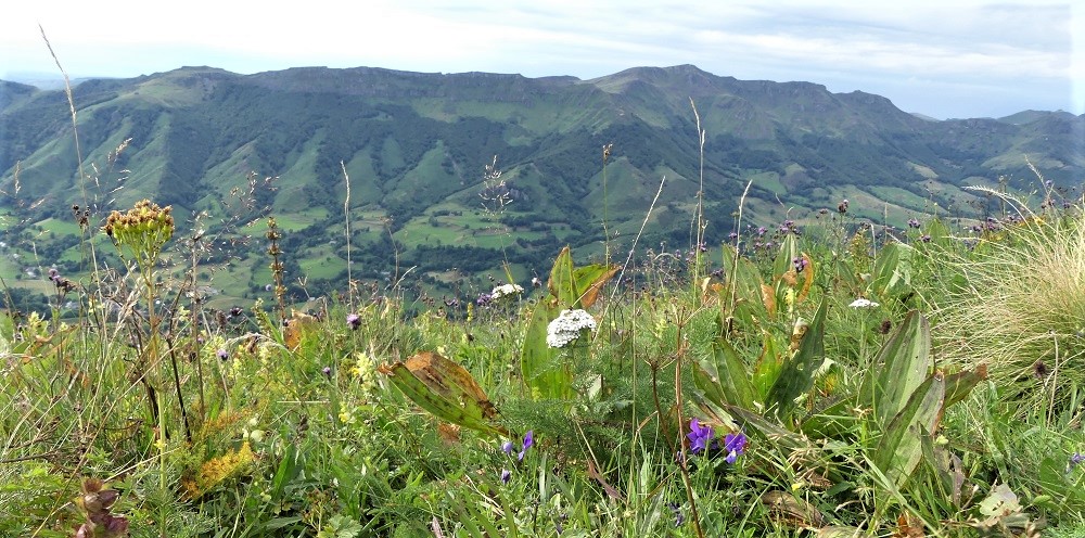 Annexe Elancèze 7 août 2017.JPG