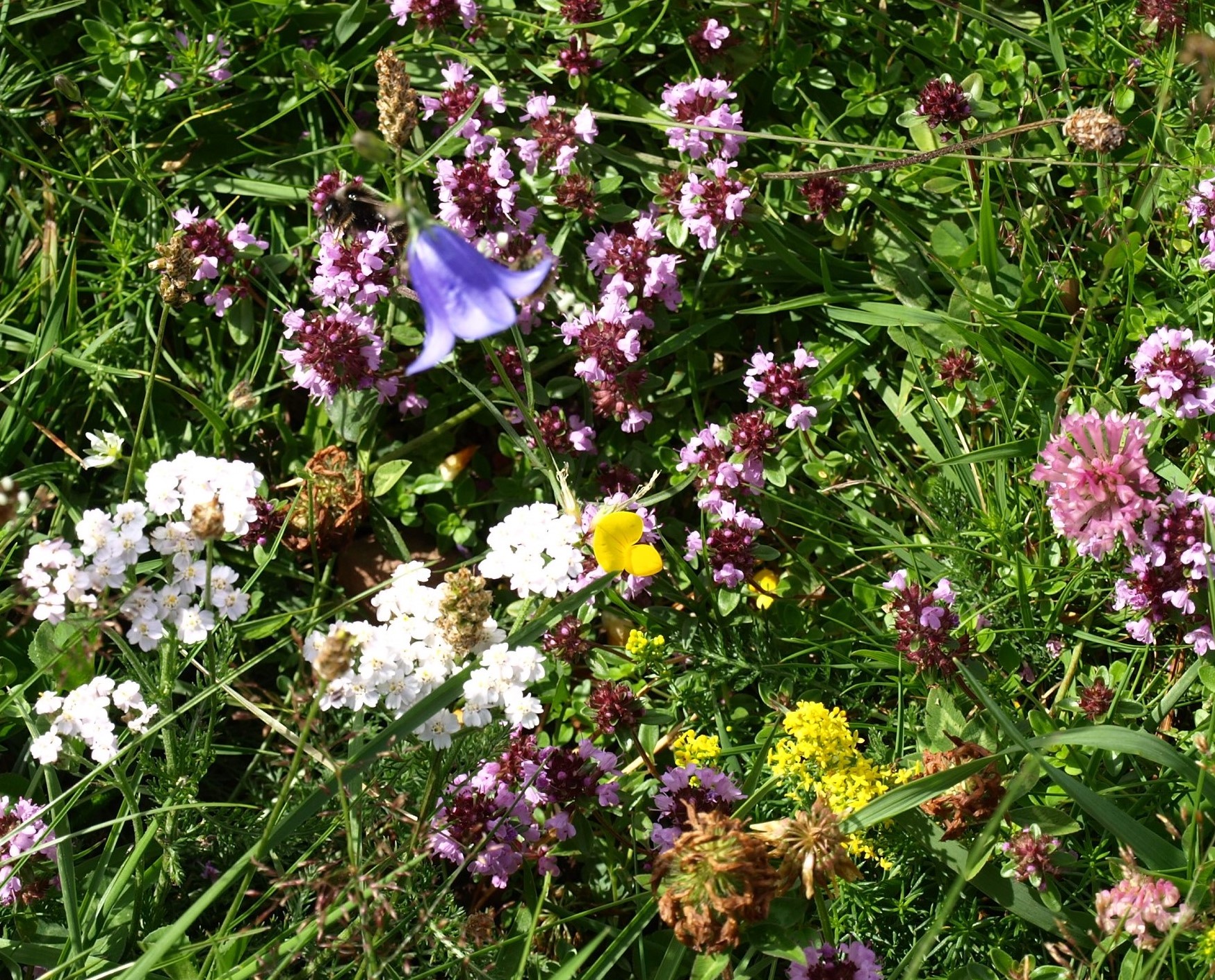 Annexe P7297904 r.jpg