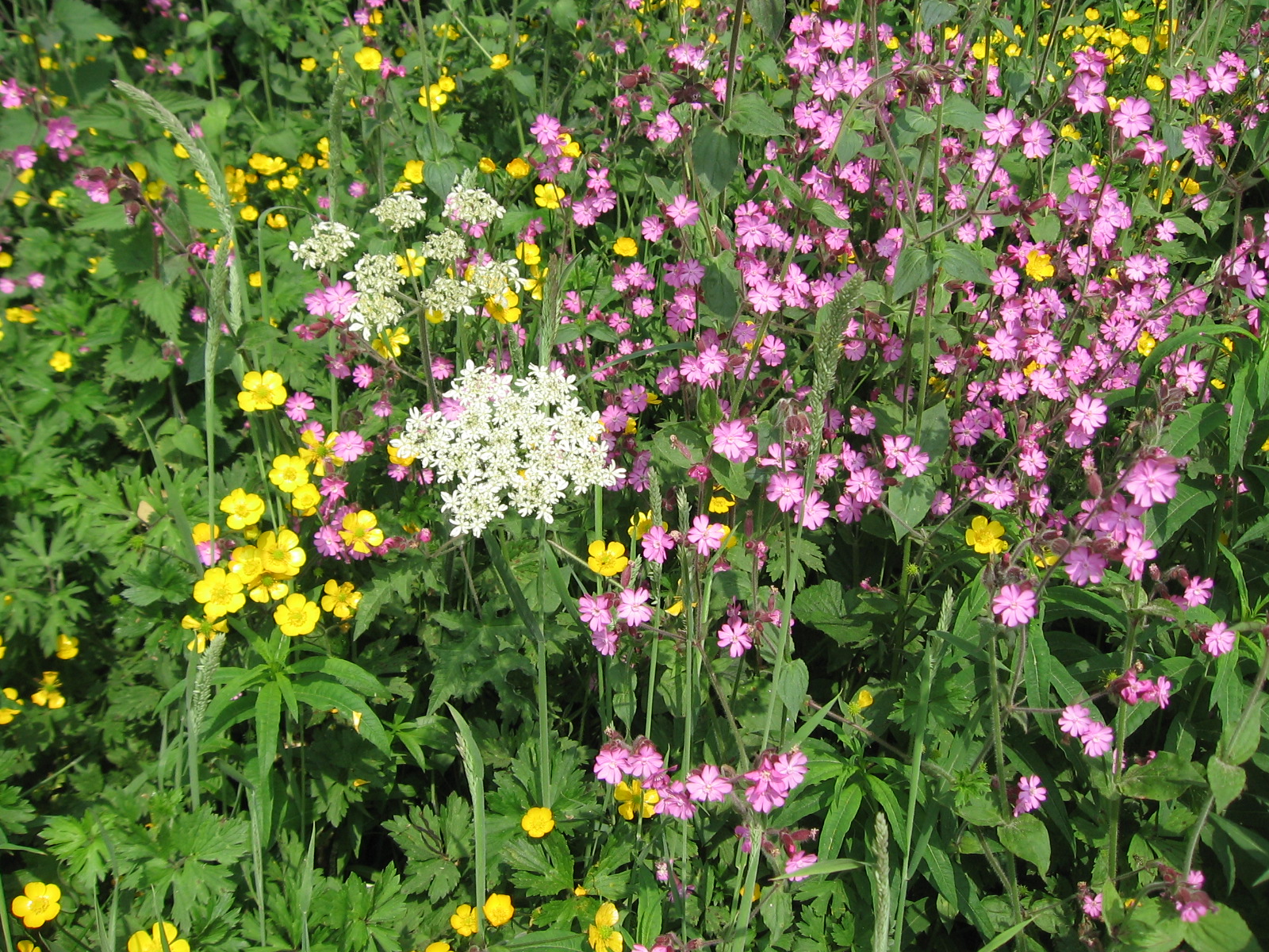 Annexe Spring bank, Carsington 2016.jpg