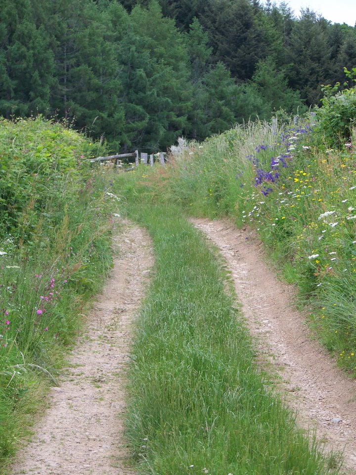 Annexe 1232DE87-7FF4-4948-8881-8CA41A3B0FB7.jpeg