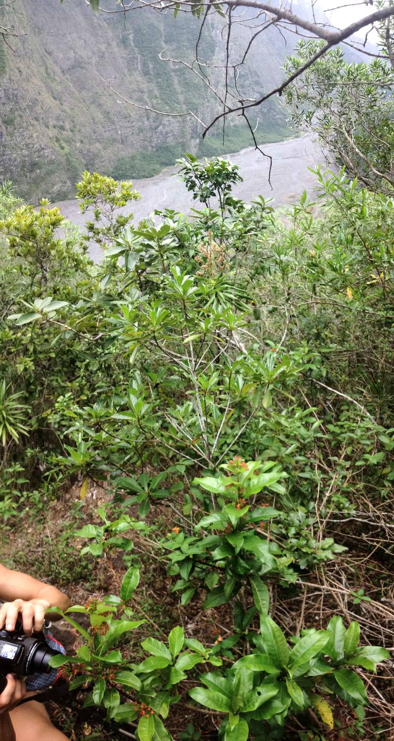 Annexe Rempart Gd Coude.jpg