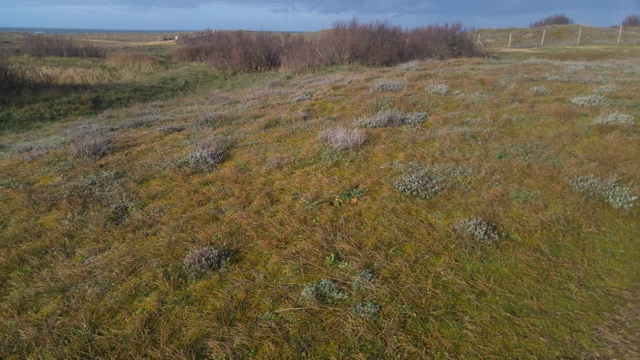 Annexe 20180329_092516.jpg