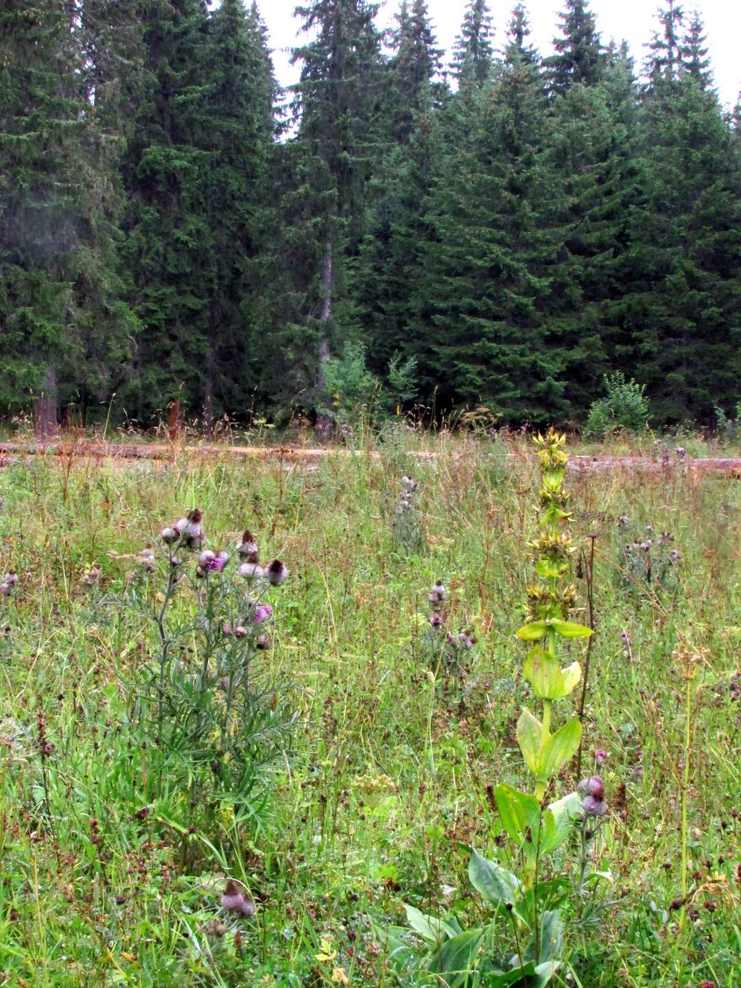 Annexe 147-Biodiversité.jpg