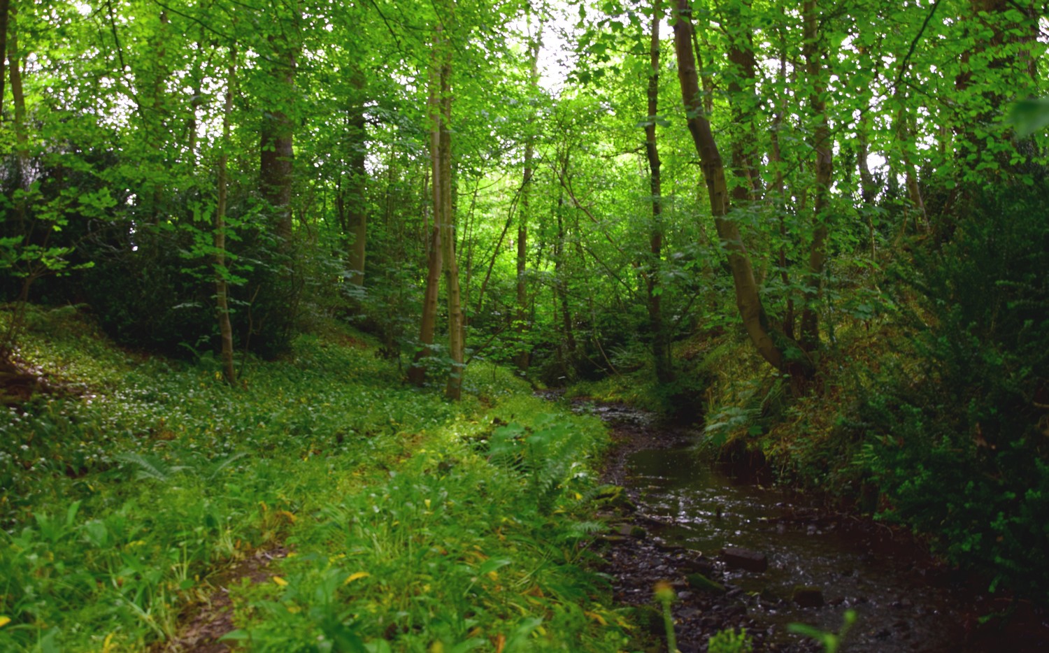 Annexe activité.jpg