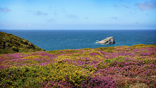 Annexe 33221930850_aa8e40b8c7_n.jpg