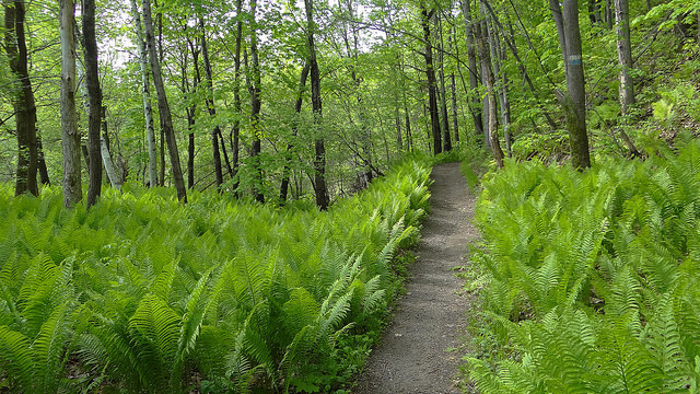 Annexe 27324574975_847e3f8ed4_z.jpg