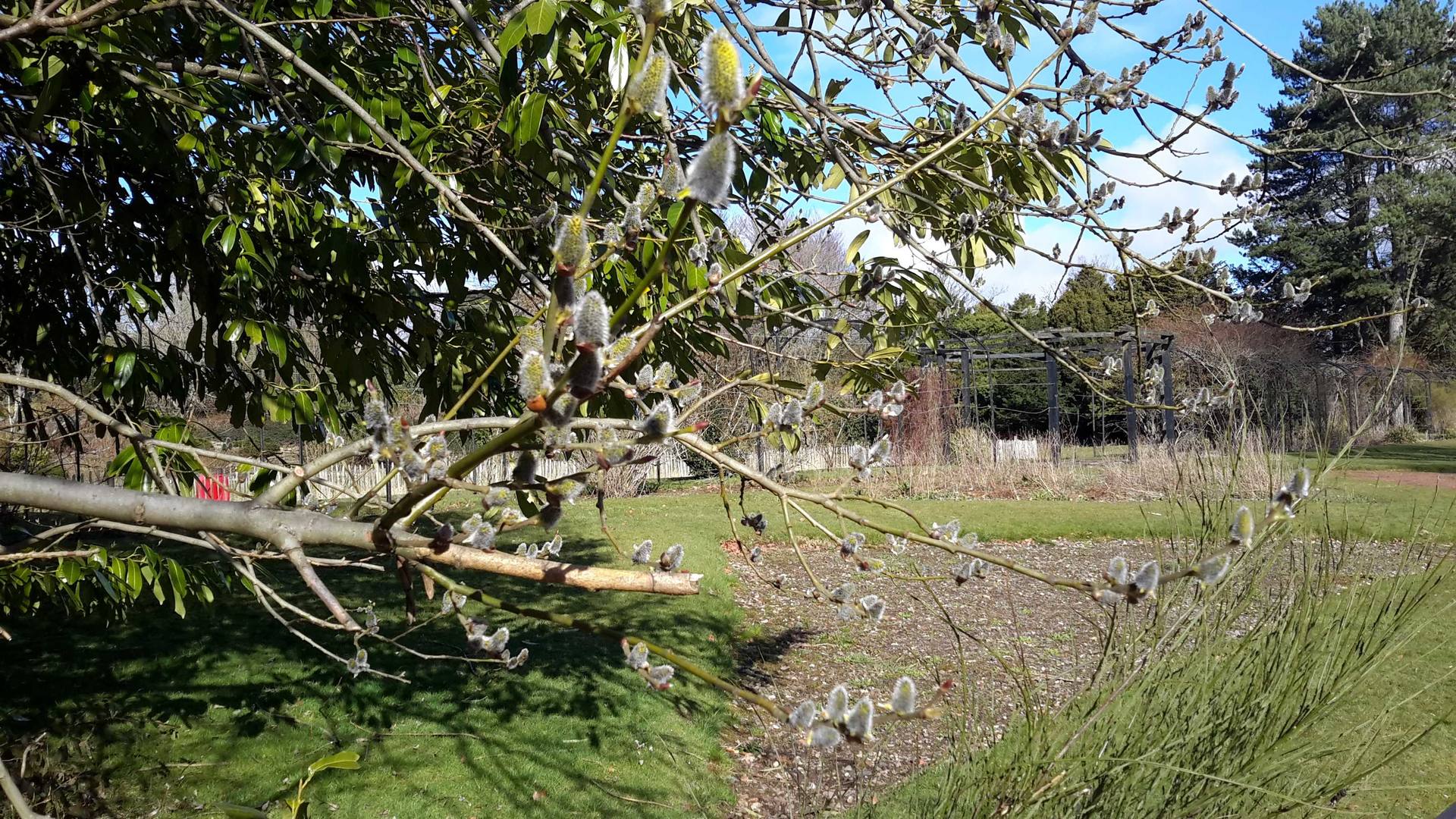 Annexe 20180328_160700_compressed.jpg