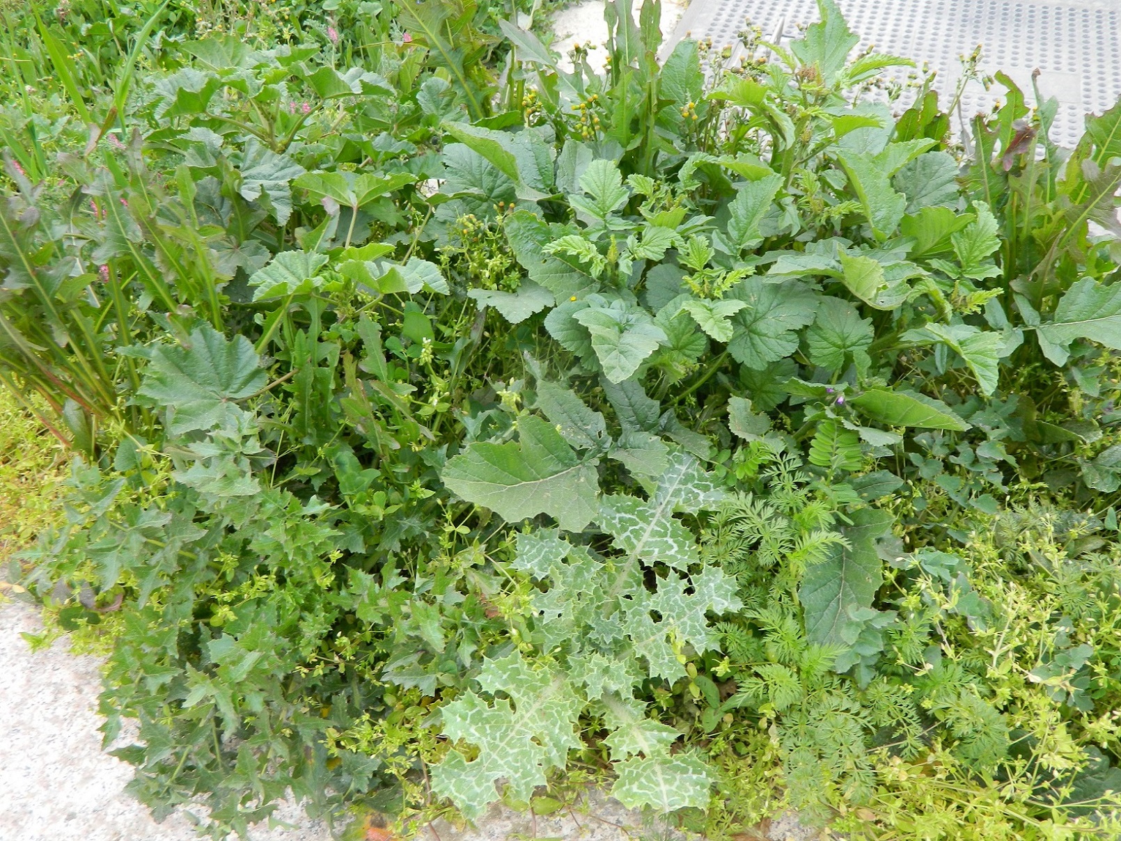 Annexe 28 Mars 2018, Bakou, Azerbaijan.JPG