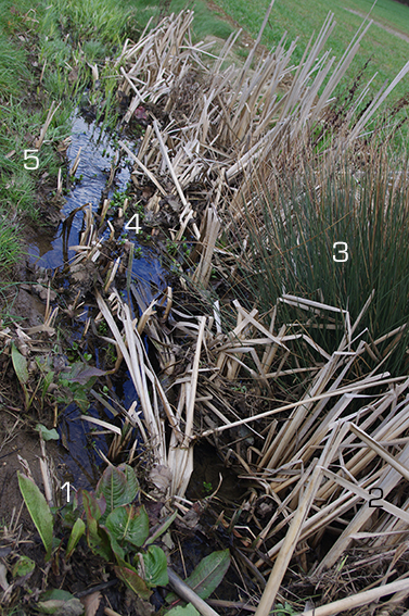 Annexe IMGP1202 copie.jpg