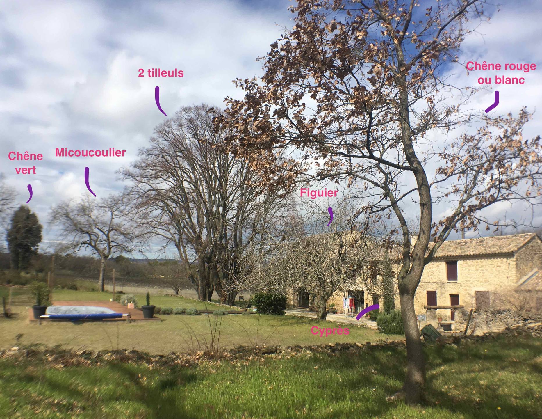 Annexe laurence_photos_pont.jpg